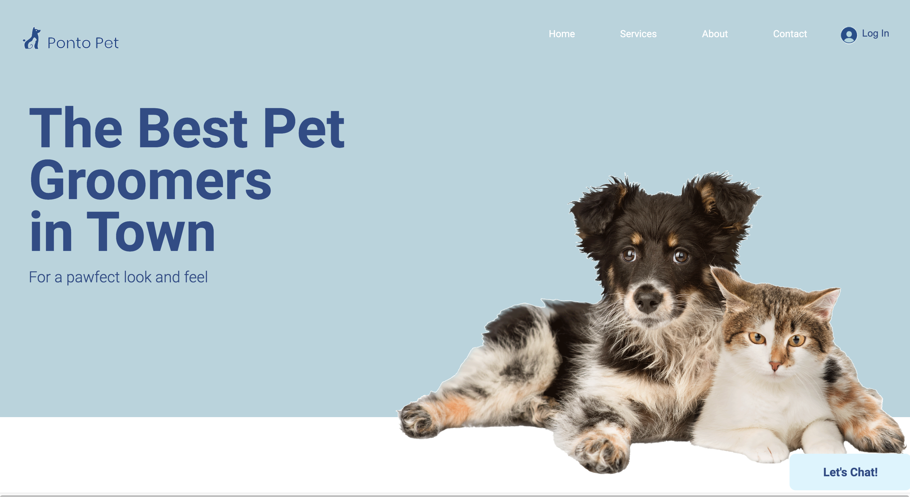 Ponto Pets website